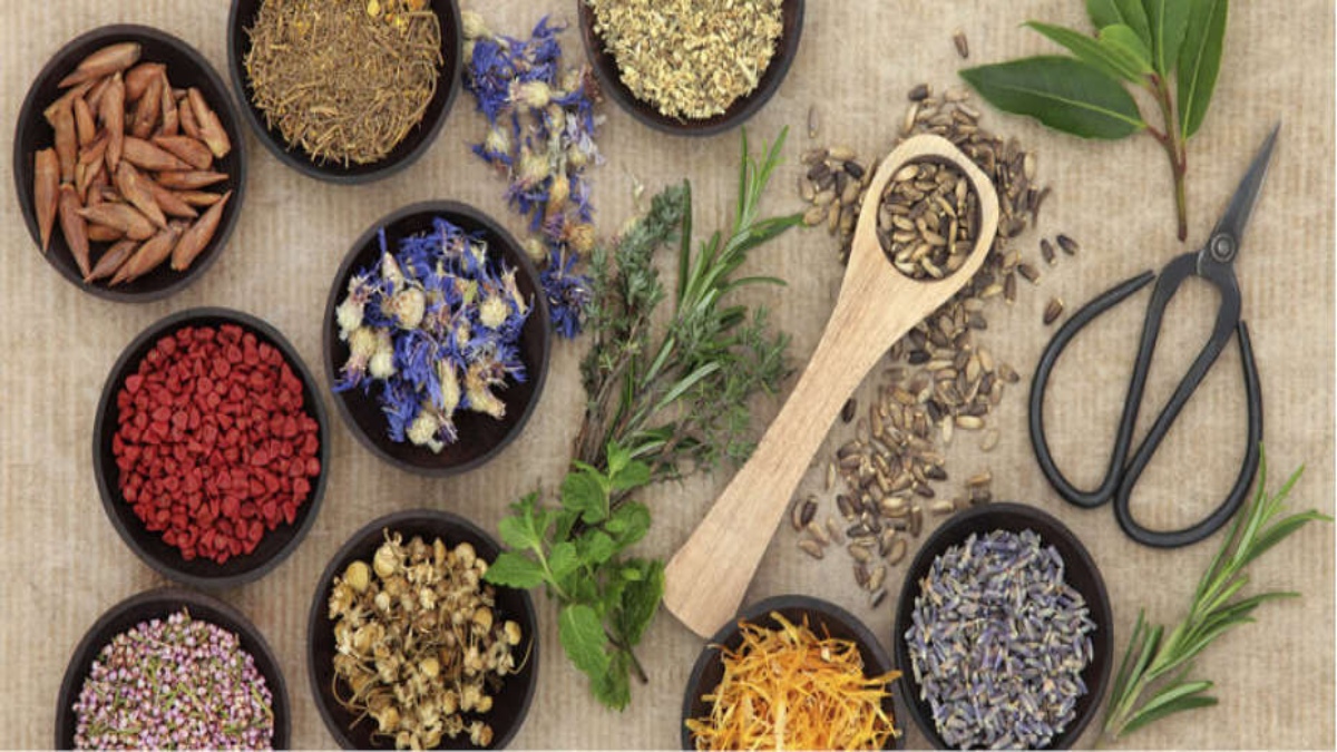 naturopathy-alternative-therapy